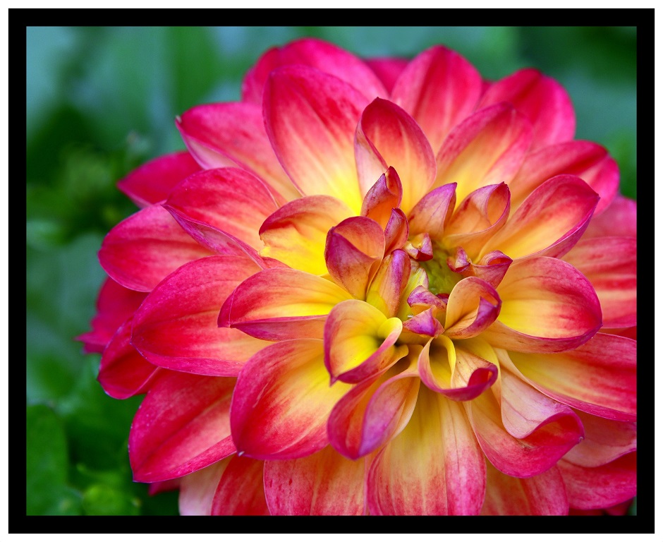 Print In Class A By Debra Meole For Sunburst NOV-2018.jpg